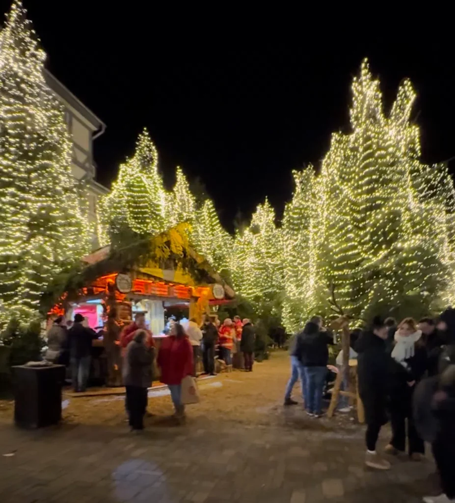 Weihnachtsmarkt mit großen Weihnachtsbäumen